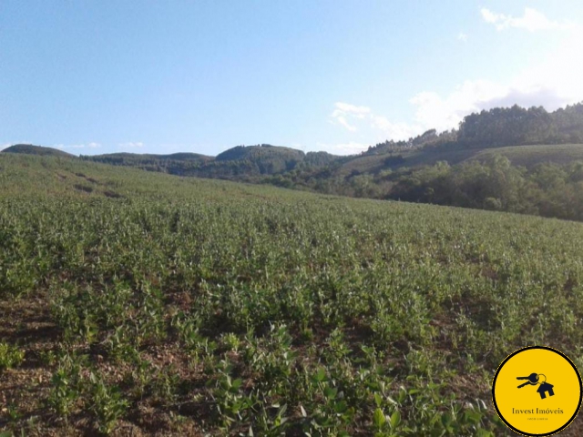 Área de Terras para Venda Piquiri Cachoeira do Sul