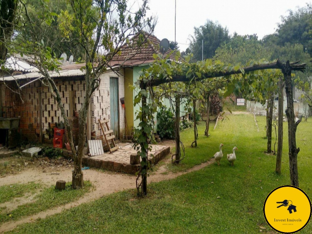 Terreno para Venda Augusta Cachoeira do Sul